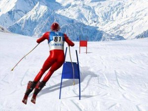 Alpine Gate Racer