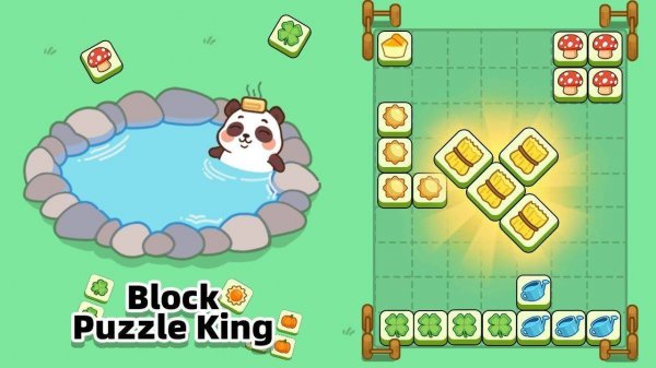 Shape Fit Challenge: Grid Puzzle