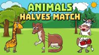 Animal Halves Match Puzzle