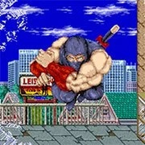 Retro Ninja Brawler Co-op