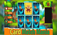 Memory Match Puzzle