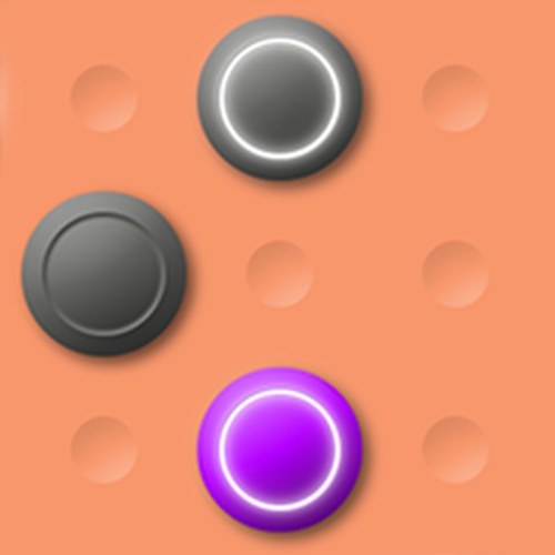 Polarity Placement Puzzle